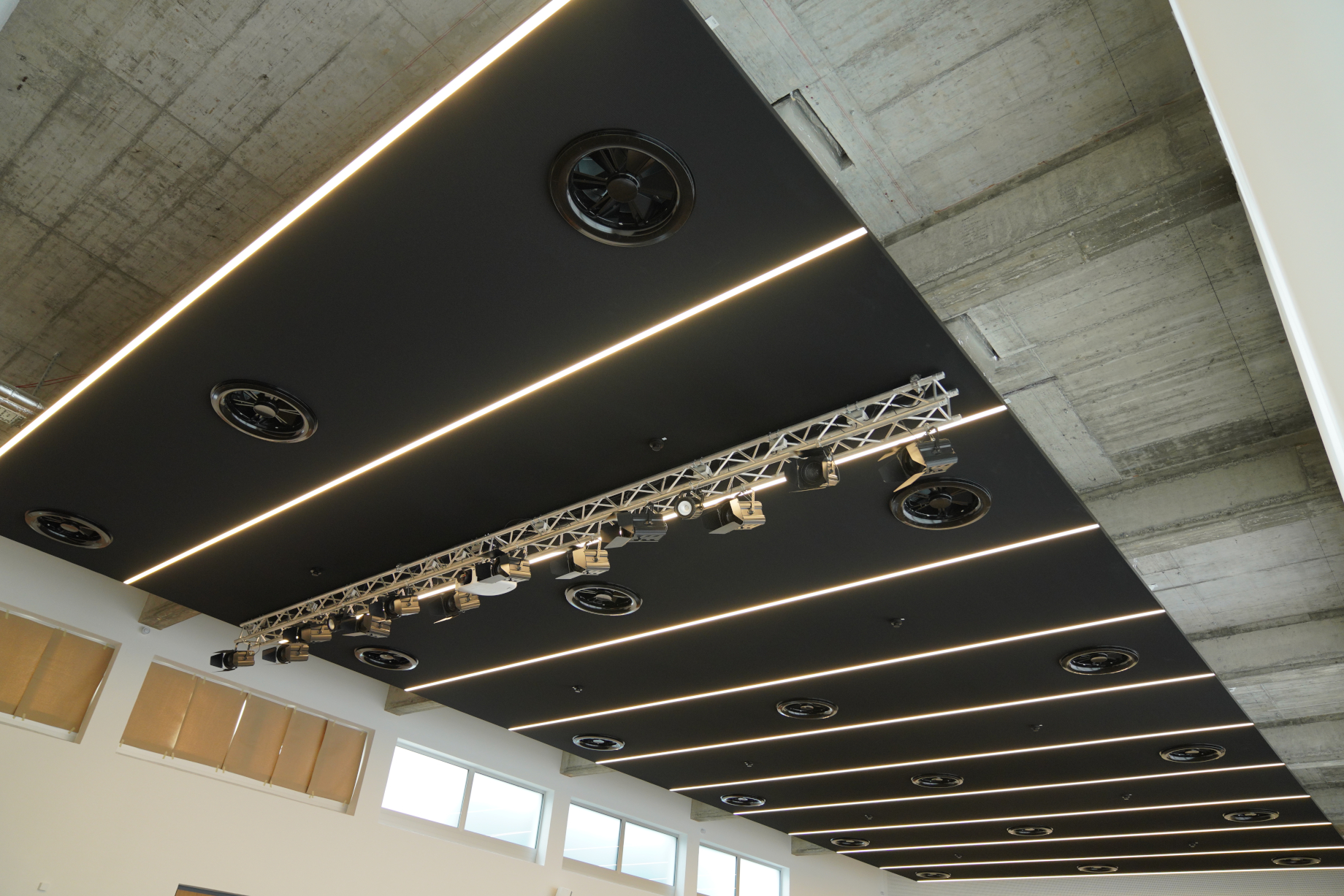 Richter suspended ceiling system with lighting