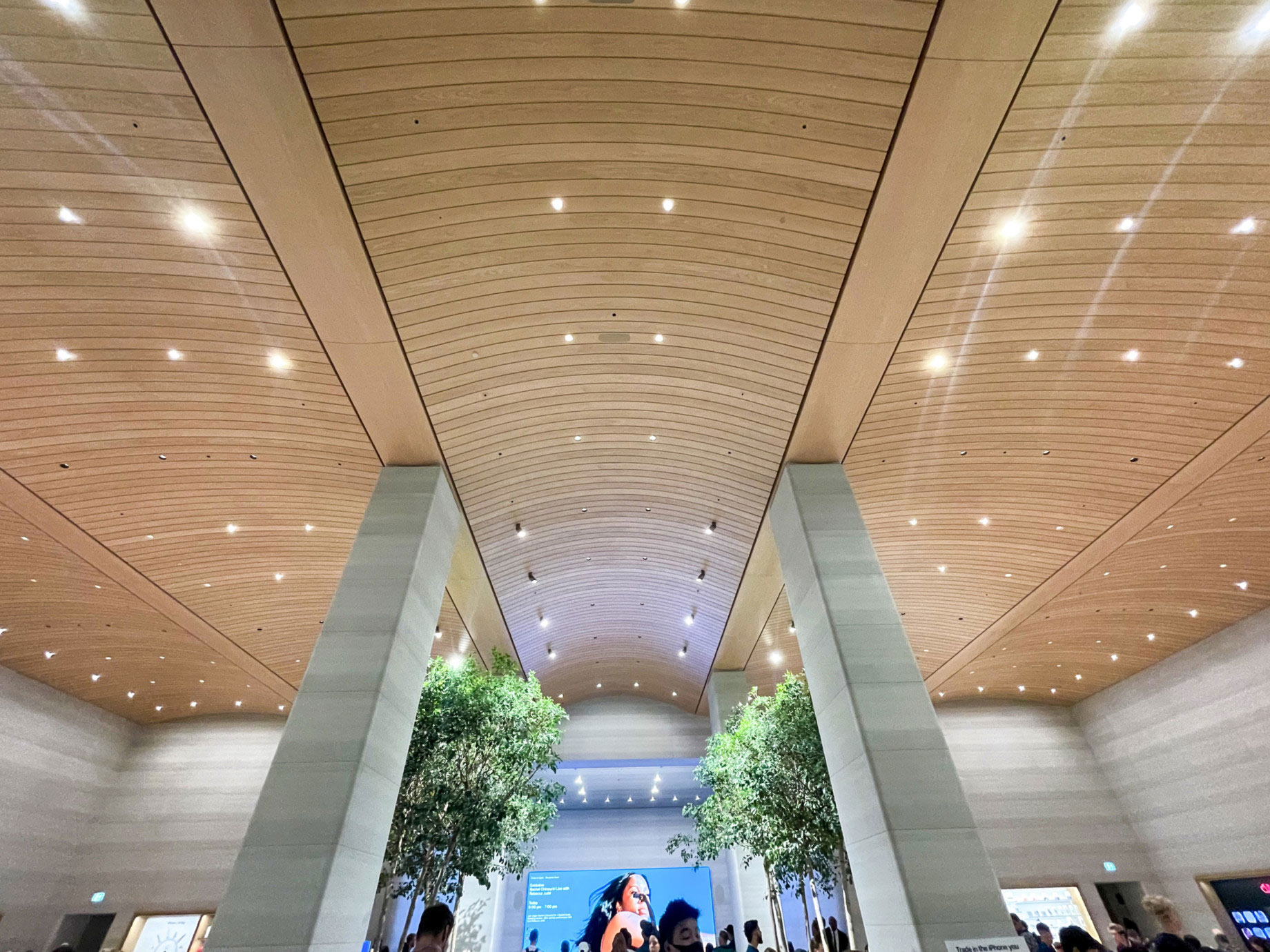 Brompton-road-timber-ceiling-re Architecting Excellence: Your vision, our expertise